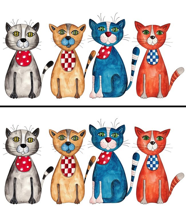 Only the genius finds all the differences in these 16 photos! Picture 14