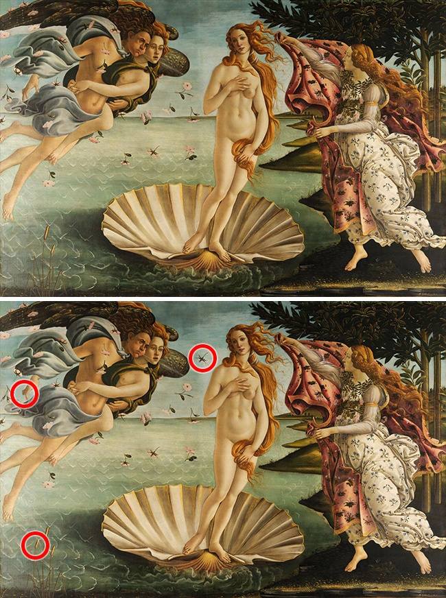 Only the genius finds all the differences in these 16 photos! Picture 16