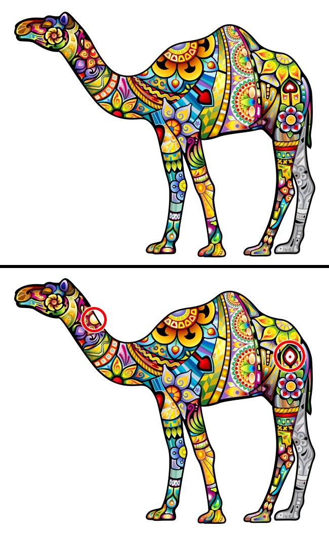 Only the genius finds all the differences in these 16 photos! Picture 23