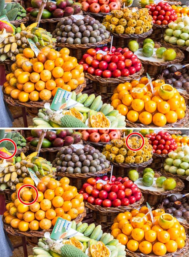 Only the genius finds all the differences in these 16 photos! Picture 25