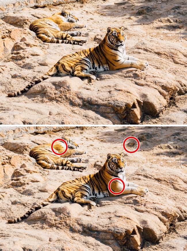 Only the genius finds all the differences in these 16 photos! Picture 26
