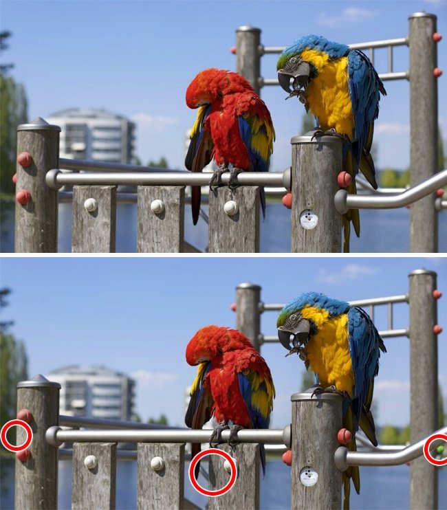 Only the genius finds all the differences in these 16 photos! Picture 27