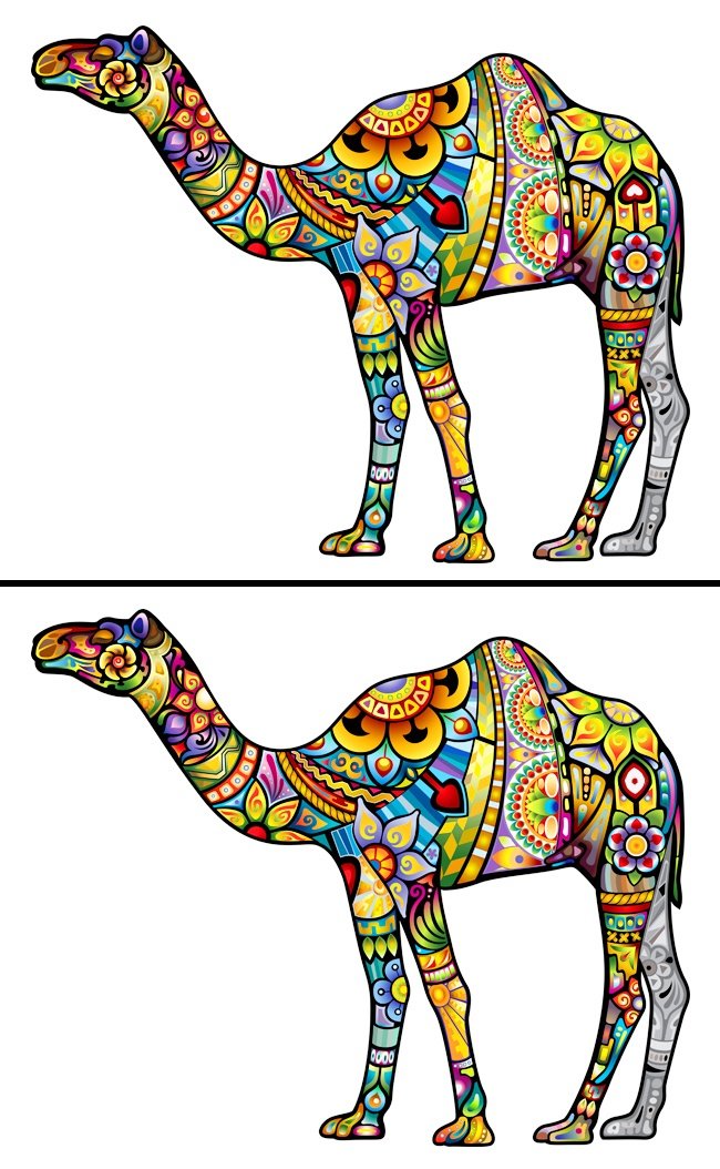 Only the genius finds all the differences in these 16 photos! Picture 8