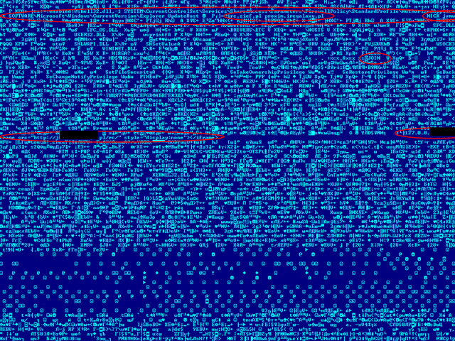 Overview of Virus.Win32.Virut.ce malware pattern Picture 16