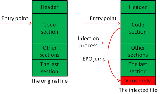 Overview of Virus.Win32.Virut.ce malware pattern Picture 7