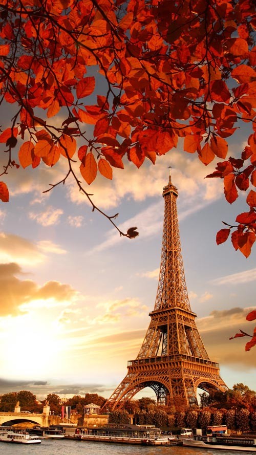 Own the integrated theme wallpaper for smartphones Picture 13