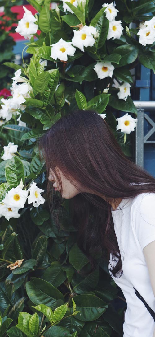 Own the integrated theme wallpaper for smartphones Picture 28