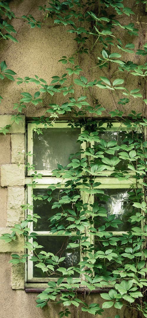 Own the integrated theme wallpaper for smartphones Picture 29