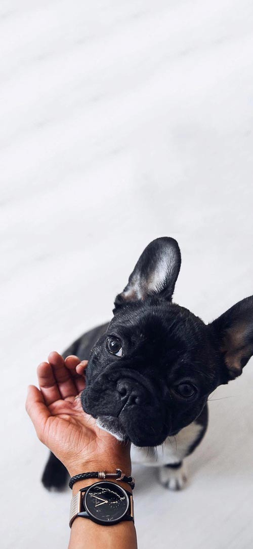 Own the integrated theme wallpaper for smartphones Picture 30