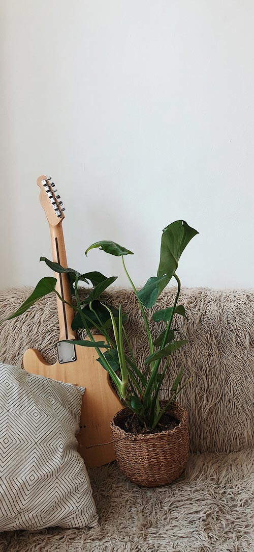 Own the integrated theme wallpaper for smartphones Picture 35