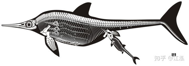 Paleontologists discovered the fat on the body of the fish lizard 180 million years ago Picture 8