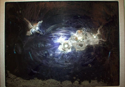 Panasonic CF-30: Laptop 'against' Tiger Picture 10