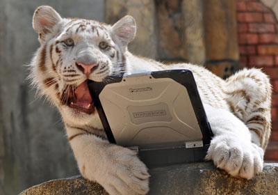 Panasonic CF-30: Laptop 'against' Tiger Picture 5