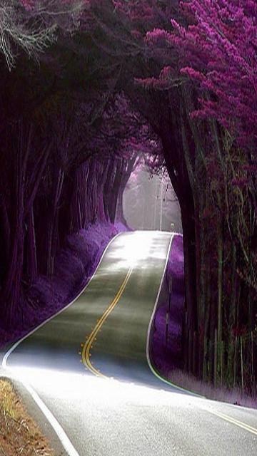 Phone wallpaper with many different themes Picture 14