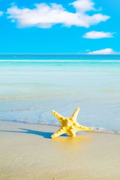 Phone wallpaper with many different themes Picture 15