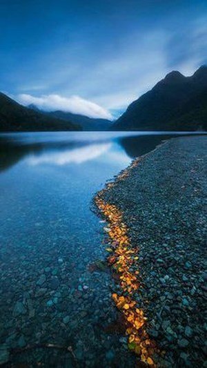 Phone wallpaper with many different themes Picture 16