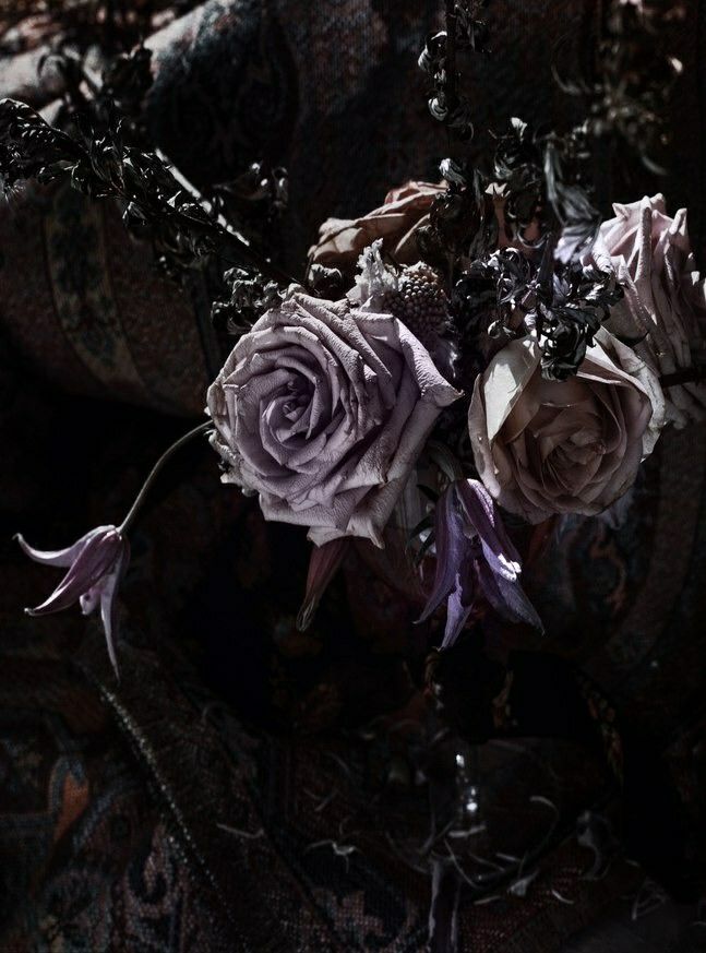 Phone wallpaper with many different themes Picture 20