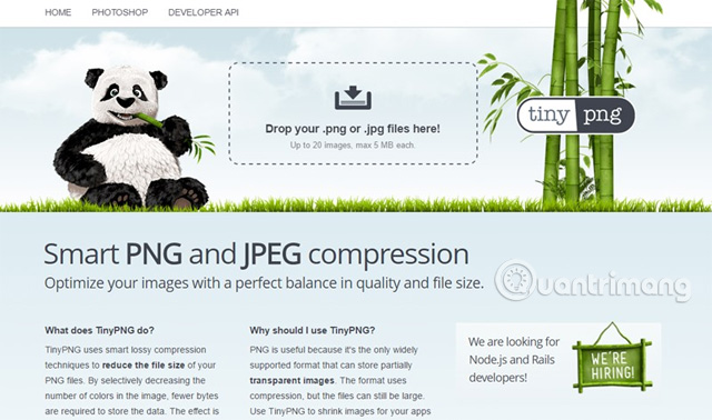 Photo compression tips for the highest quality Picture 3