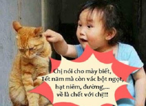 Photo processing bonus hegemony, extremely funny Picture 4