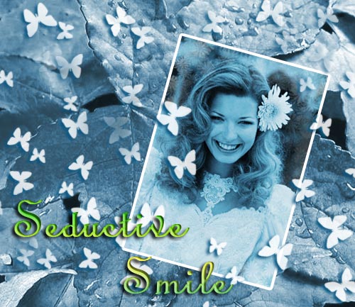 Photoshop CS: Decorate photos Picture 14