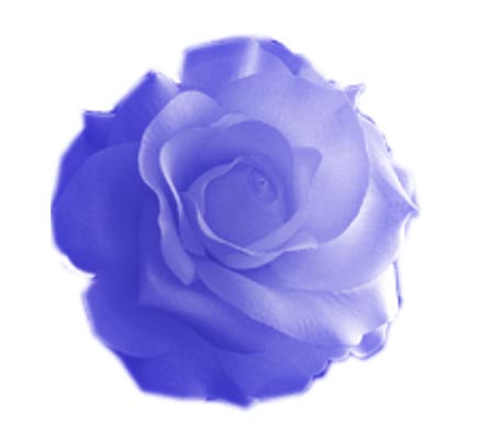 Photoshop CS: How to create and use Brush (Part 1) Picture 11