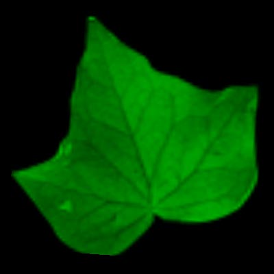 Photoshop CS: How to create and use Brush (Part 1) Picture 21