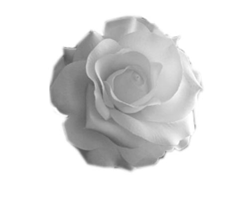 Photoshop CS: How to create and use Brush (Part 1) Picture 8