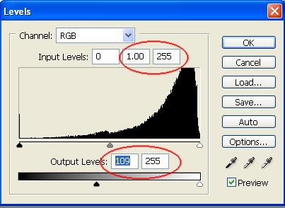 Photoshop CS: Sketches Picture 4