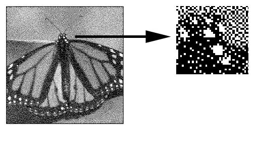 PhotoShop - Lesson 1: Introduction to Adobe Photoshop CS4 Picture 6