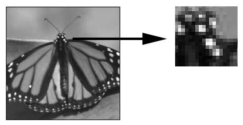 PhotoShop - Lesson 1: Introduction to Adobe Photoshop CS4 Picture 7