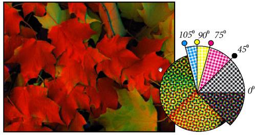 PhotoShop - Lesson 2: Color theory Picture 6