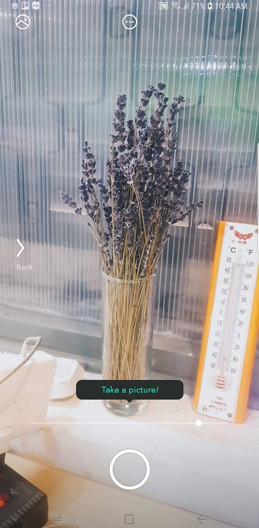 Picai - application that helps bring AI camera to Android smartphone Picture 6