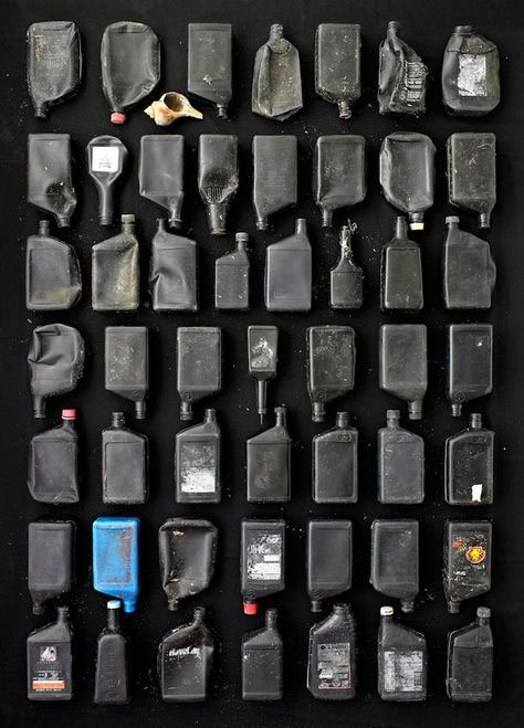 Picking up marine waste sorted into impressive works Picture 8