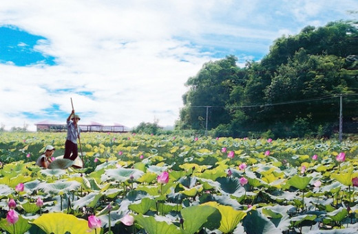 Places to enjoy interesting New Year's festival near Hanoi Picture 12