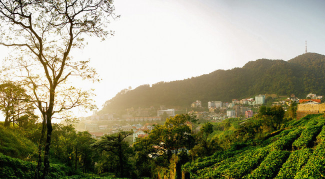 Places to enjoy interesting New Year's festival near Hanoi Picture 3