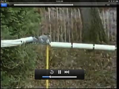 Play WMV files on iOS devices Picture 3