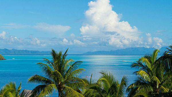 Please download a wide range of themes, Full HD resolution for your computer Picture 30