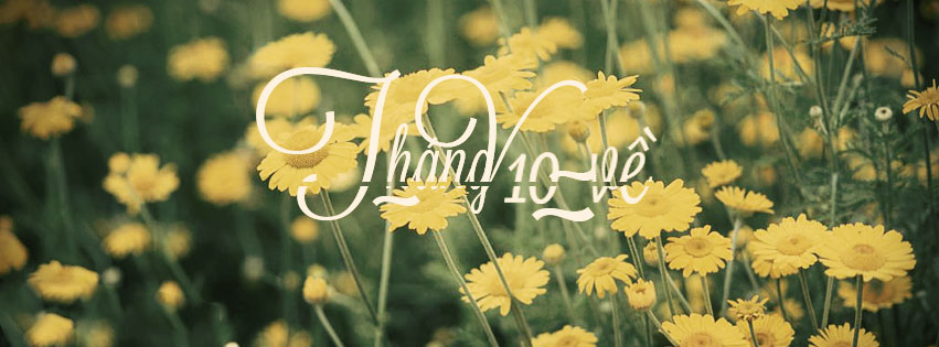 Please download the Facebook cover photo to greet the beautiful and meaningful October Picture 15