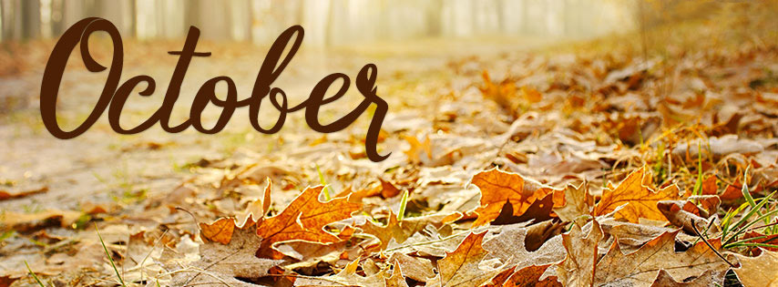 Please download the Facebook cover photo to greet the beautiful and meaningful October Picture 3