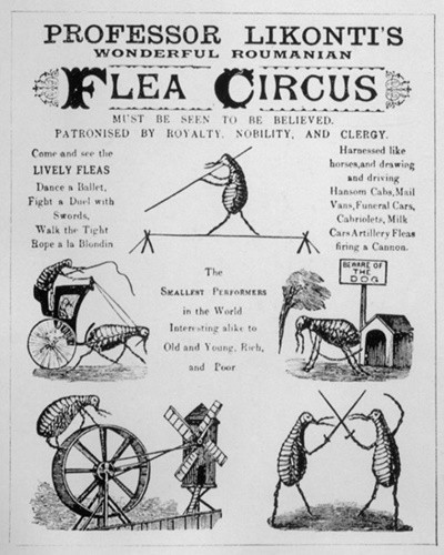 Pleasures cannot be more 'horror' than that of the ancients Picture 7