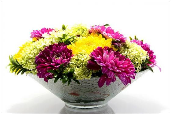 Plug in chrysanthemum flowers to bring home into the house for Tet holiday 2019 Picture 6