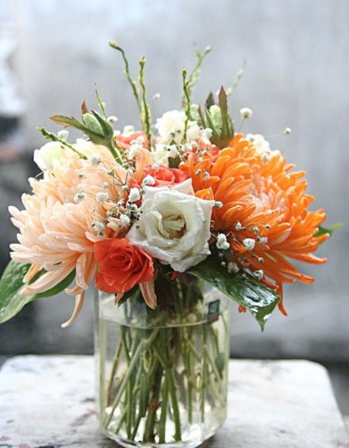 Plug in chrysanthemum flowers to bring home into the house for Tet holiday 2019 Picture 7