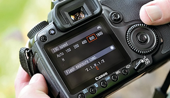 Pocket basic terms in photography - P1 Picture 2