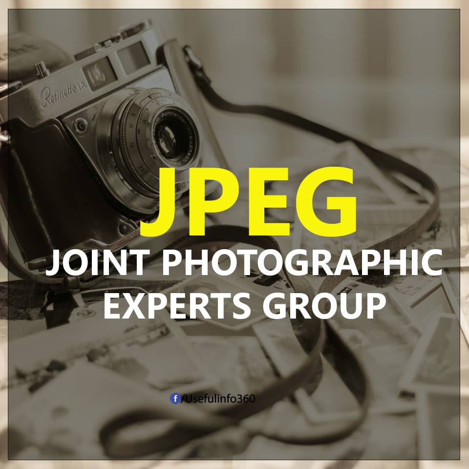 Popular IT terms in English Picture 21