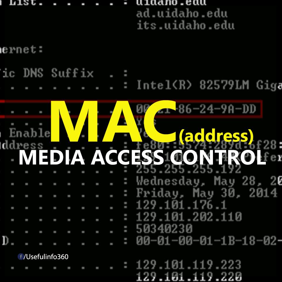 Popular IT terms in English Picture 7