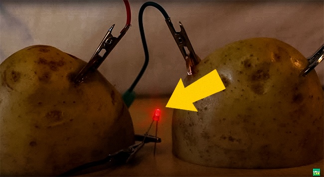 Potato generator: A great experiment you can do at home with your baby Picture 5