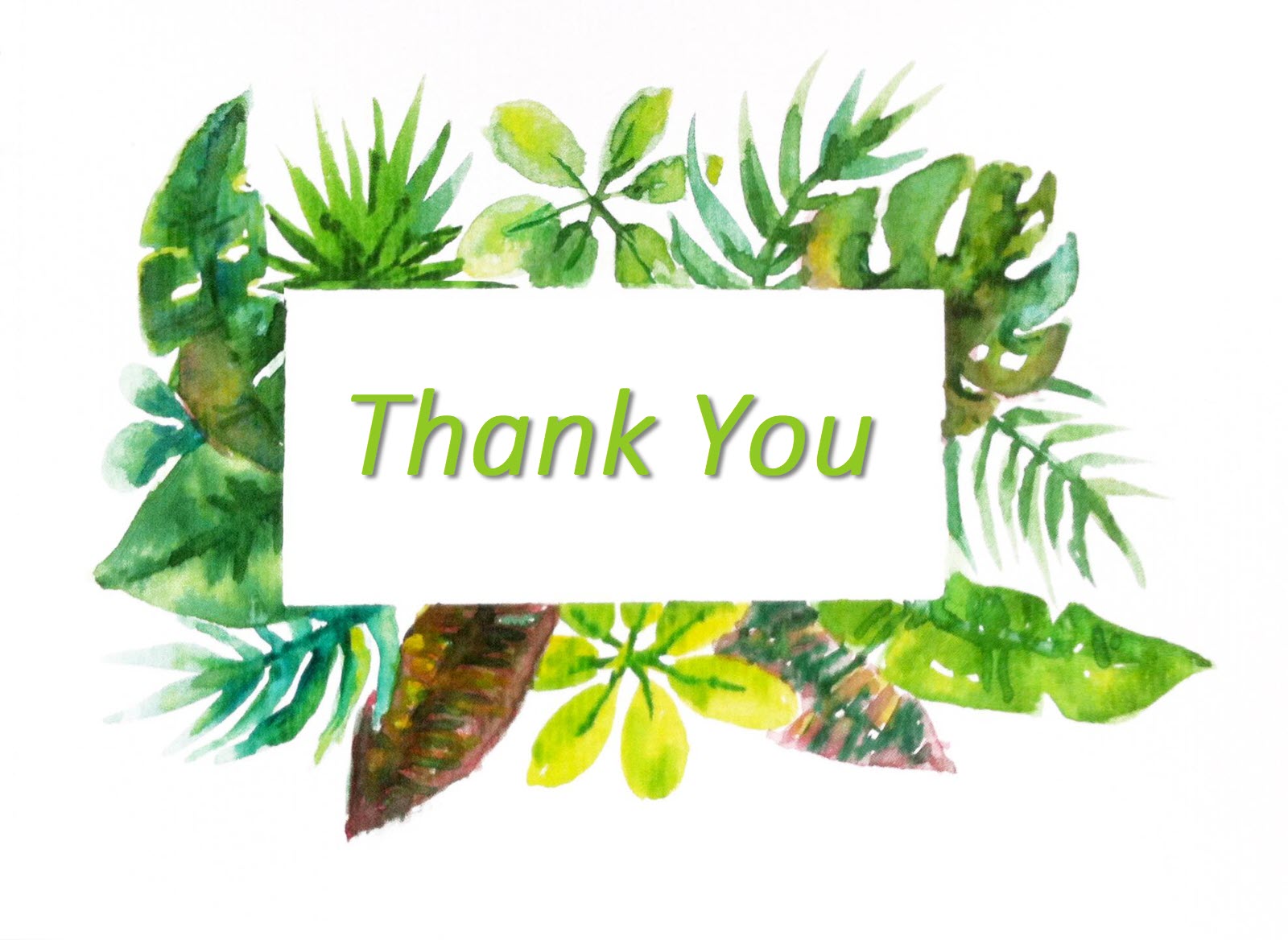 thank-you-slide-presentation-vector-template-elements-with-tropical