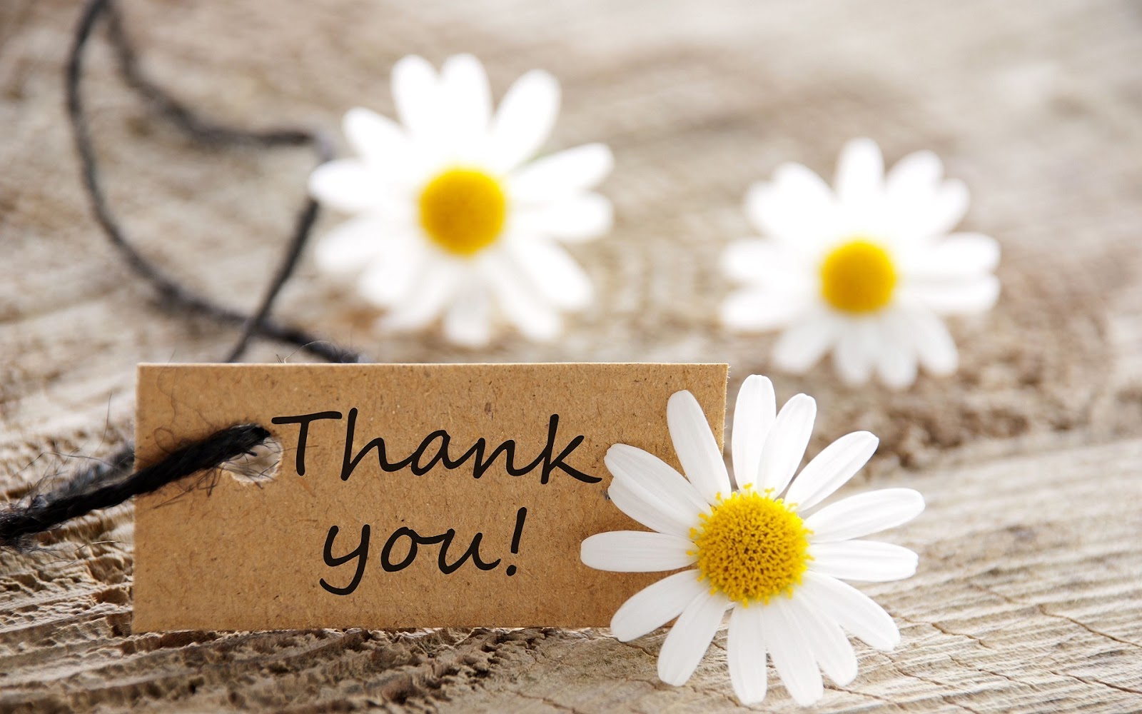 Powerpoint Thank You wallpapers, Thanks for the Slide ends Picture 17