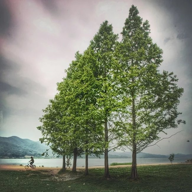 Professional photography tips from 8 Instagram photographers Picture 5