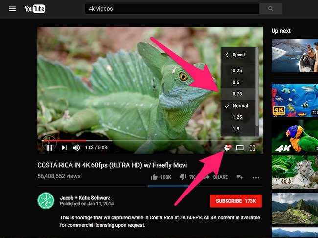 Professional Youtube user guide Picture 6